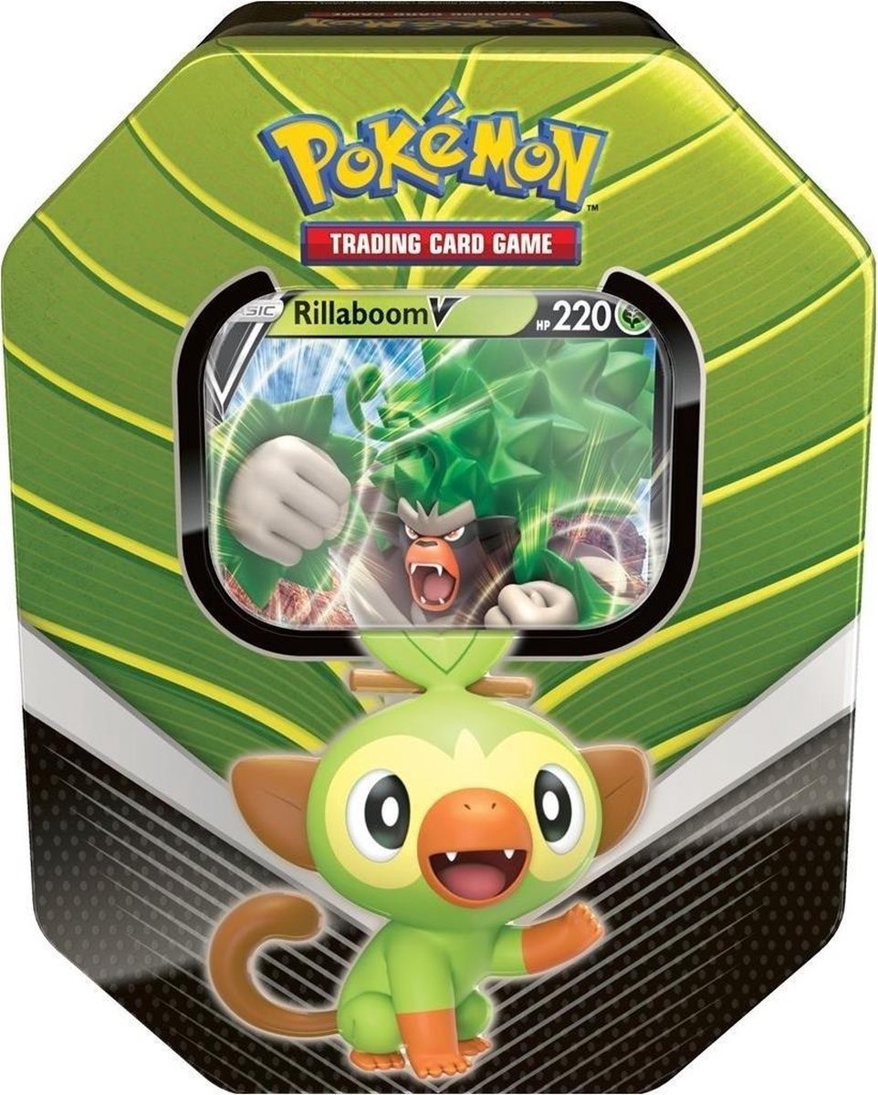 Pokemon TCG: Galar Partners Tin - Rillaboom