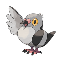 Pidove (#0519)