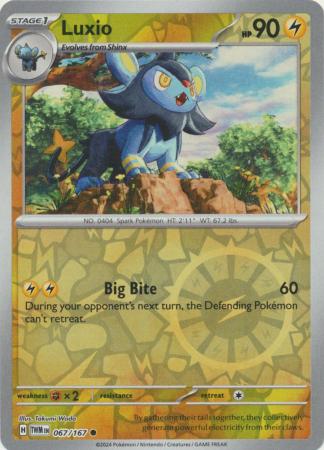 (Reverse Holo)