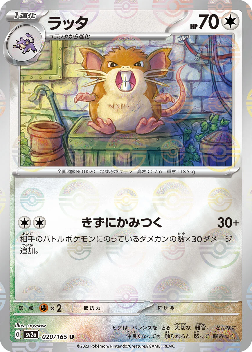 151 - 020/165 - Raticate (Reverse Holo) (japońska)