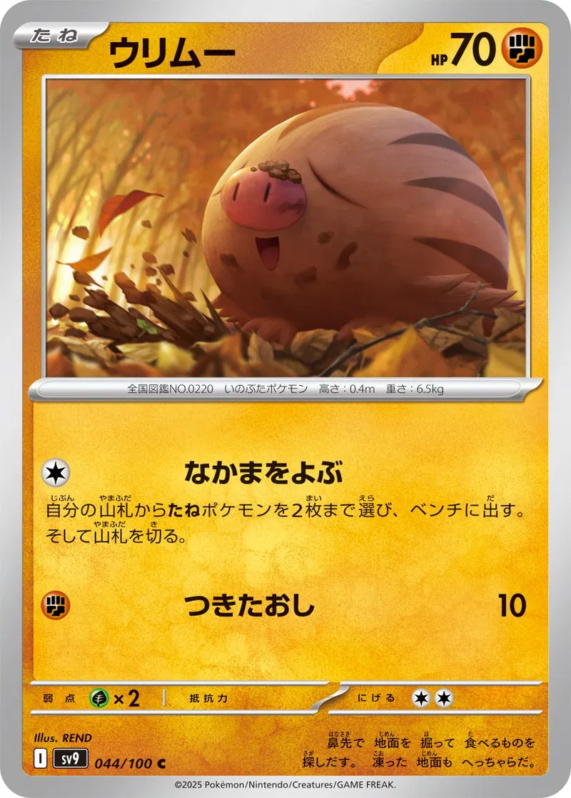 Battle Partners - 044/100 - Swinub