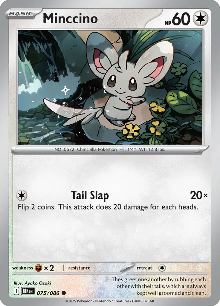 BLK - Black Bolt - 075/086 - Minccino