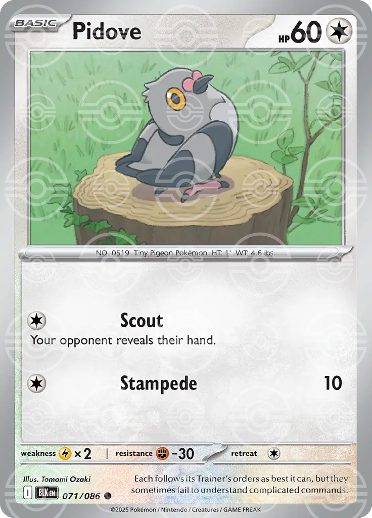 BLK - Black Bolt - 071/086 - Pidove (Poké Ball Holo)
