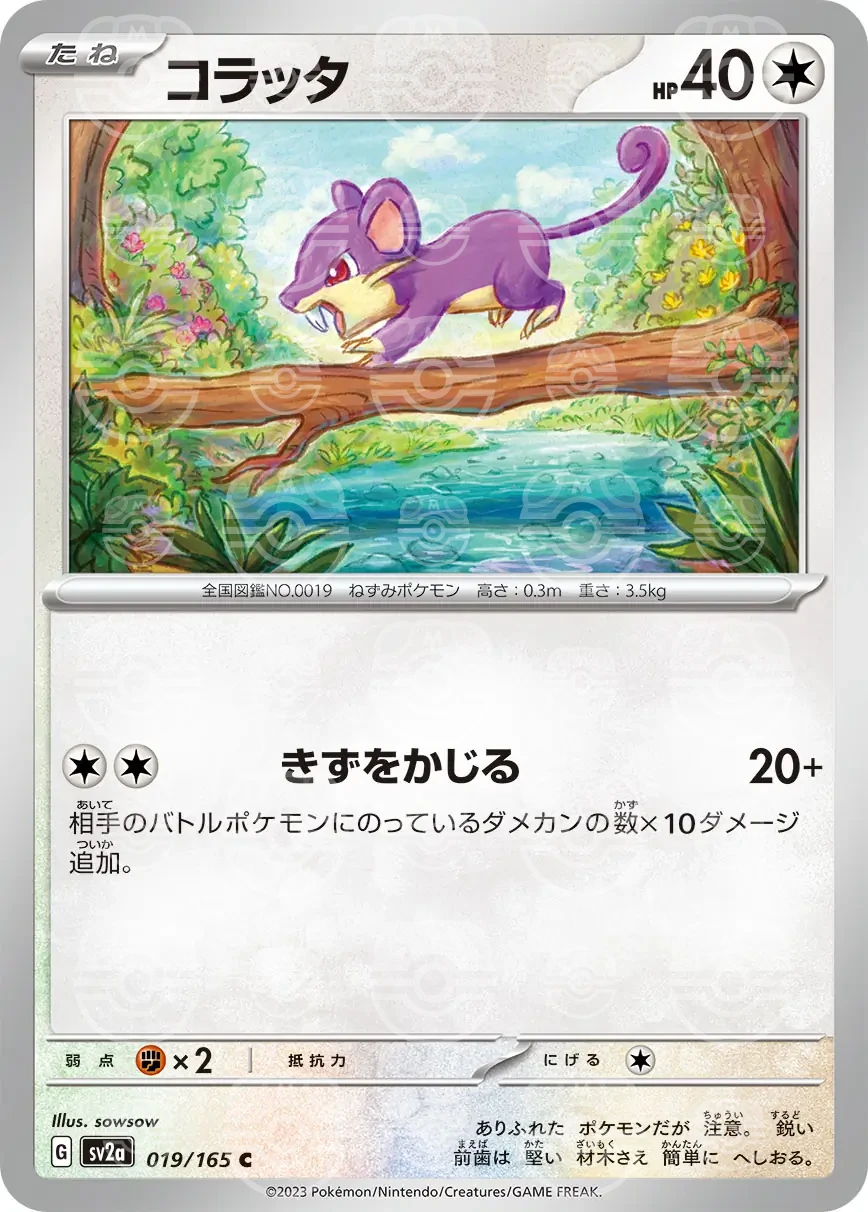 151 - 019/165 - Rattata (Master Ball Holo) (japońska)