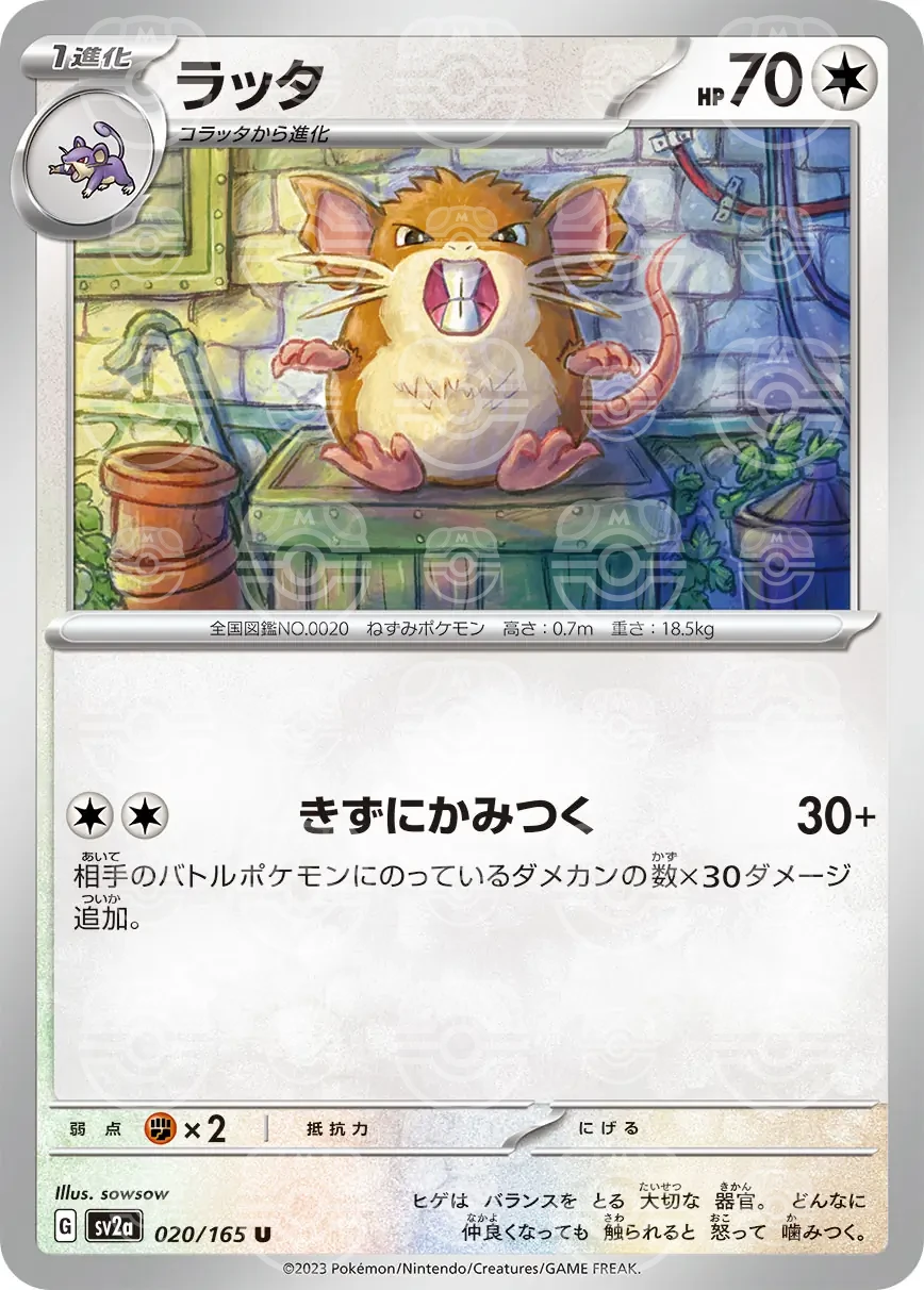 151 - 020/165 - Raticate (Master Ball Holo) (japońska)