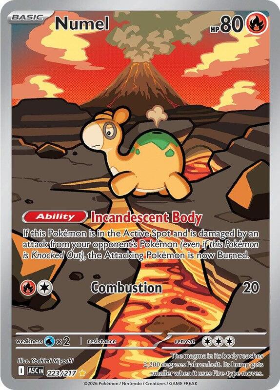 ASC Ascended Heroes - 223/217 - Numel