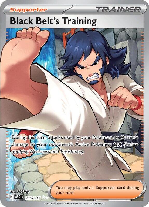 ASC Ascended Heroes - 255/217 - Black Belt's Training