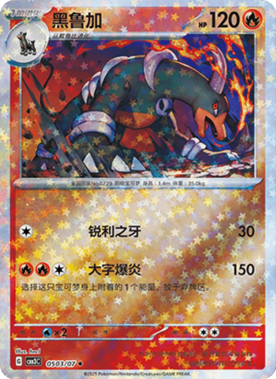 CBB3C Gem Pack Vol.3 - 05 03/07 - Houndoom (Stars Holo)