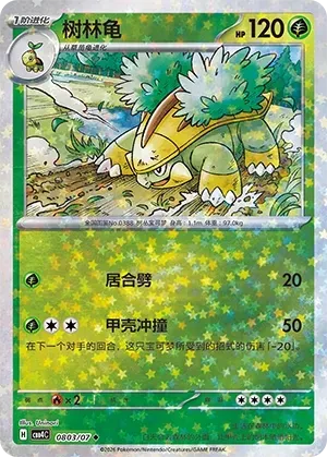 CBB4C Gem Pack Vol.4 - 08 03/07 - Grotle (Stars Holo)